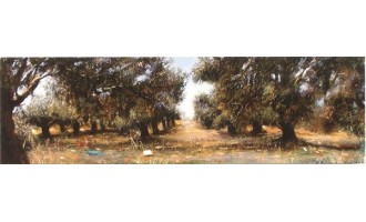 Κτιστοπούλου Μαρία