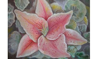 Chatzipoulidou Eleni