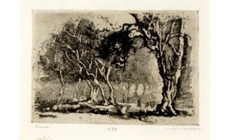 Ventouras Nikolaos
