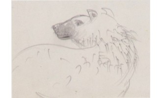 Fasianos Alekos