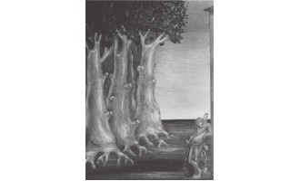 Engonopoulos Nikos