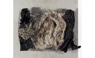 Kaniaris Vlassis