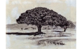 Kontoglou Fotis