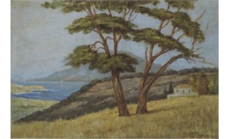 Πελεκάσης Δημήτριος