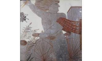 Fasianos Alekos