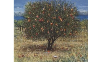 Κτιστοπούλου Μαρία