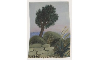 Fasianos Alekos
