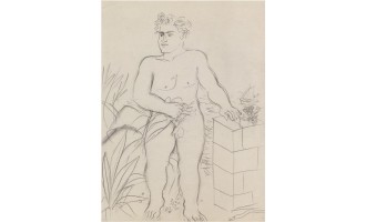 Fasianos Alekos